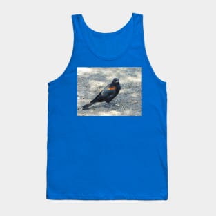 Which way to the bird bath? Tank Top